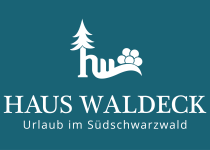 logo-waldeck-vector-white-turkis